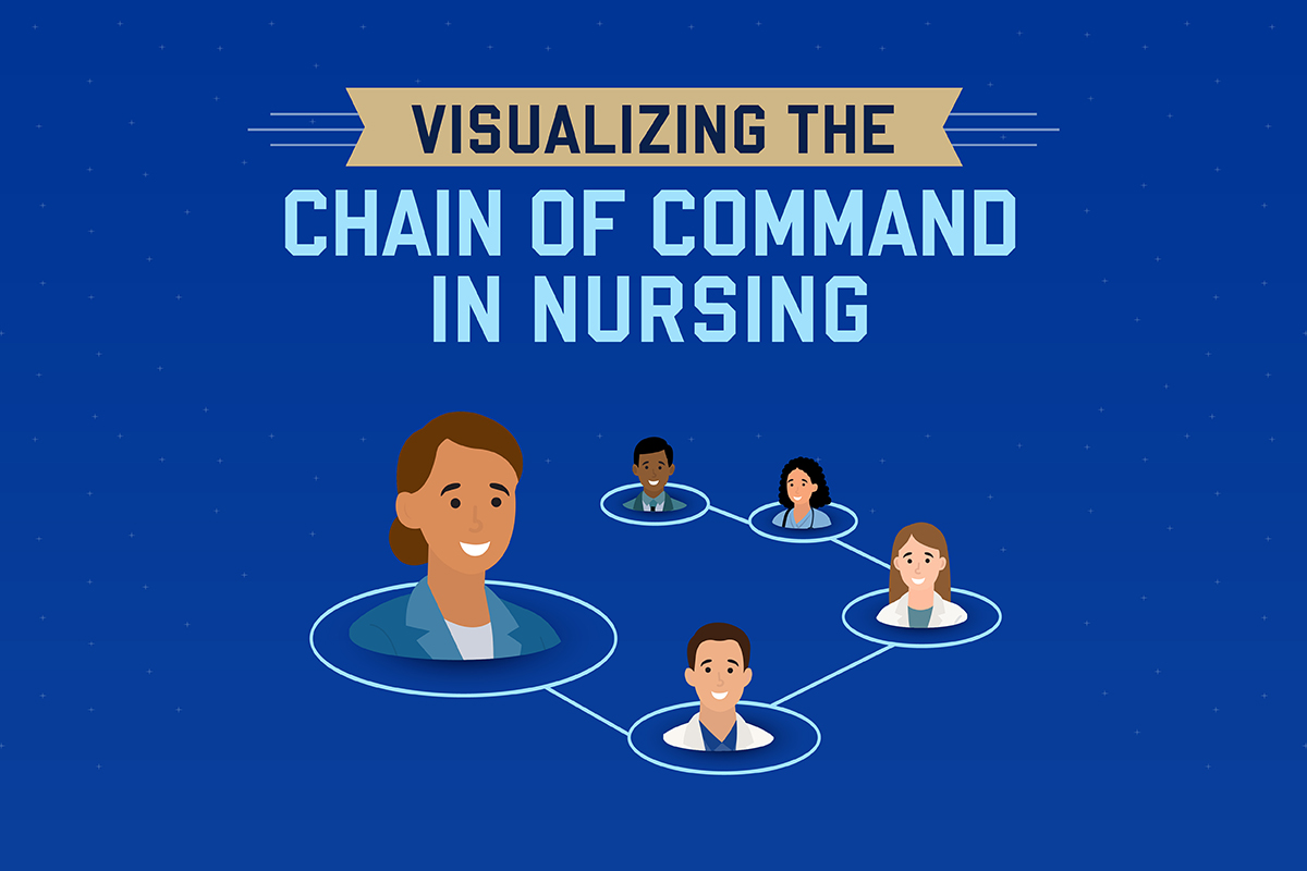Infographic outlining the chain of command in nursing.